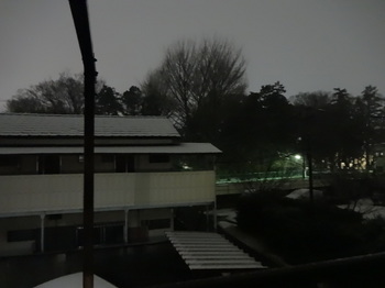2016_0225深夜に雪.JPG